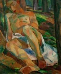 Ragazzo dormiente nel bosco